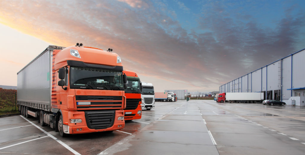 COULD BREXIT CAUSE CUSTOMS DELAYS AT UK PORTS?
