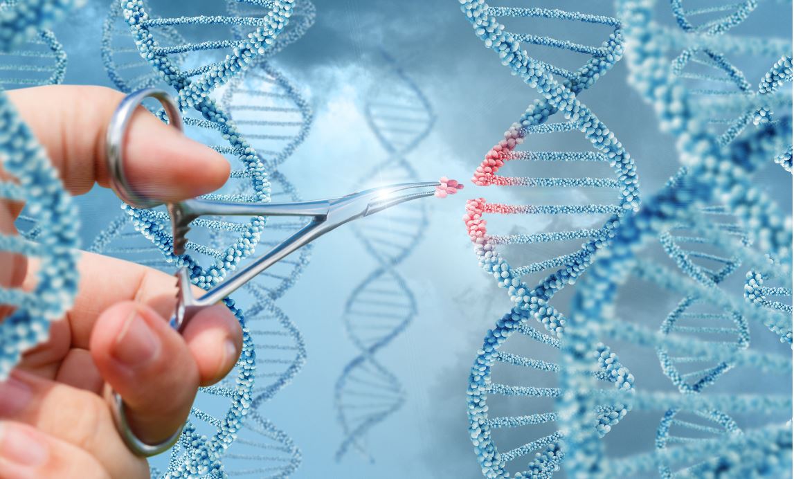 Could human genome editing eradicate genetic diseases?